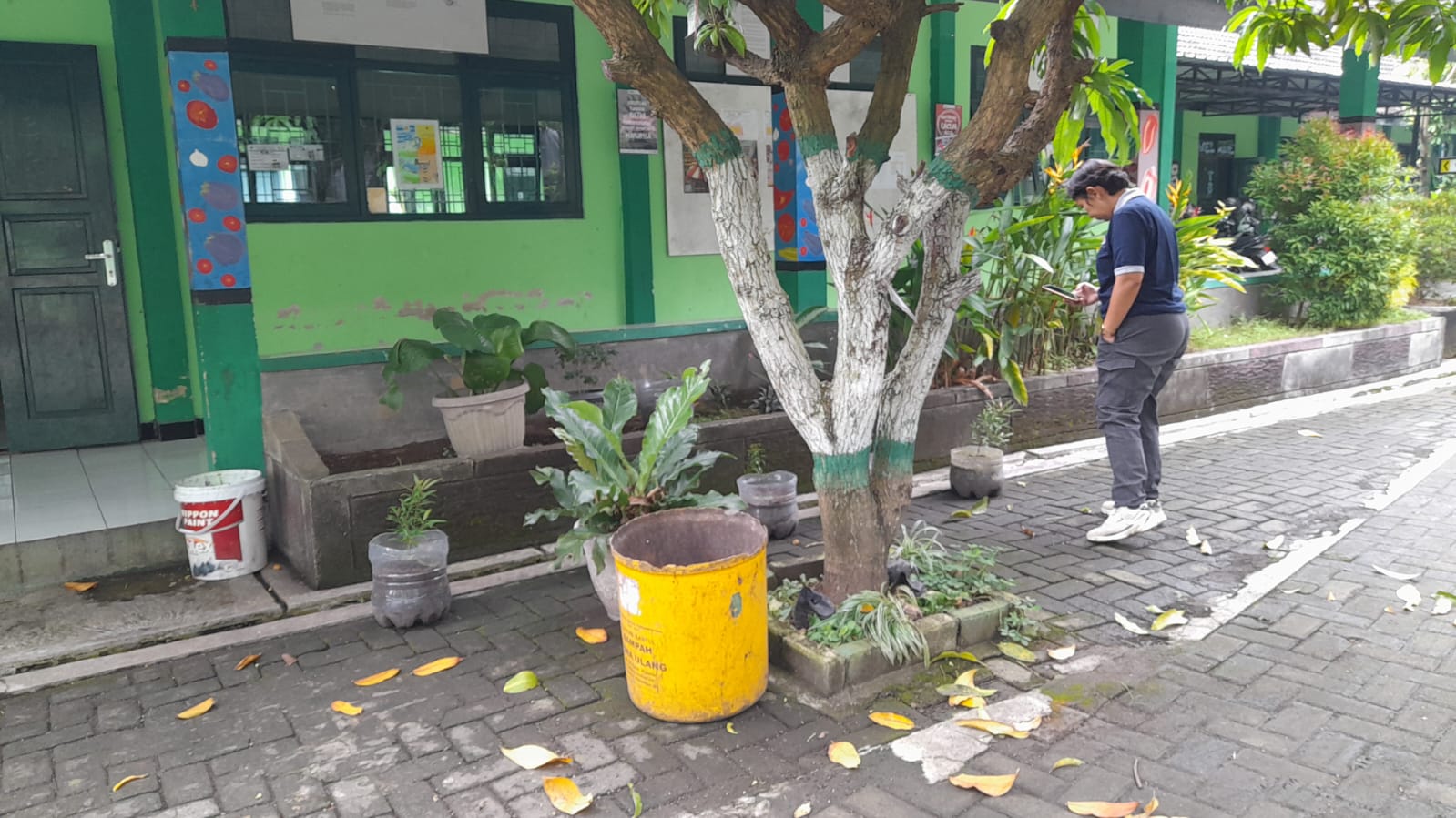 Pastikan Tumbuh Subur, BPDAS Serayu Opak Progo Tinjau Bantuan Tanaman di MTsN 9 Bantul